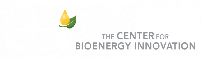 Center for Bioenergy innovation logo