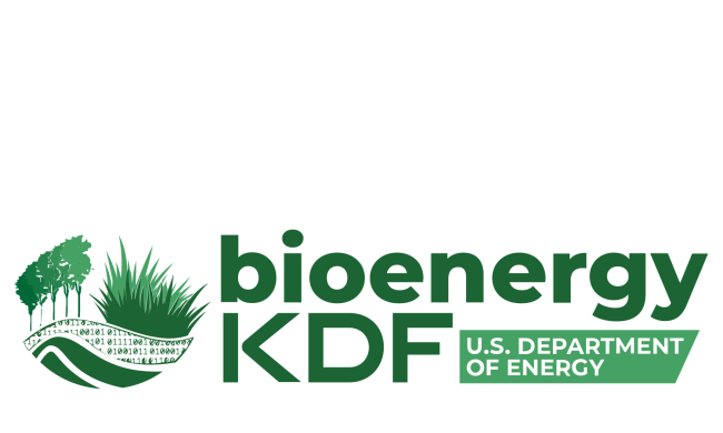 bioenergyKDF logo